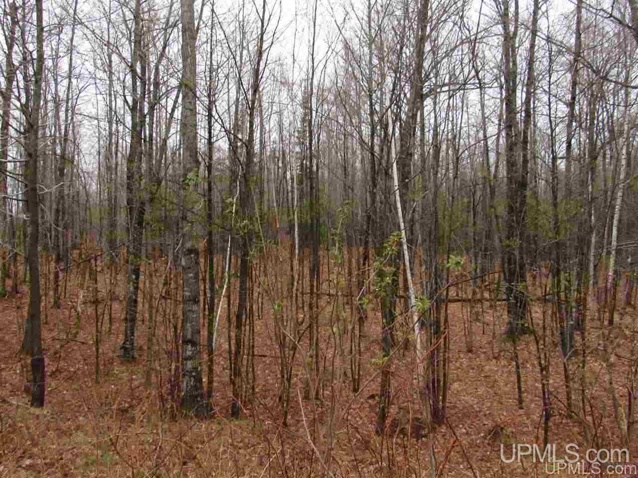 9-acres Usimaki-vuk Road Lanse, MI 49946 - Photo 5 of 6