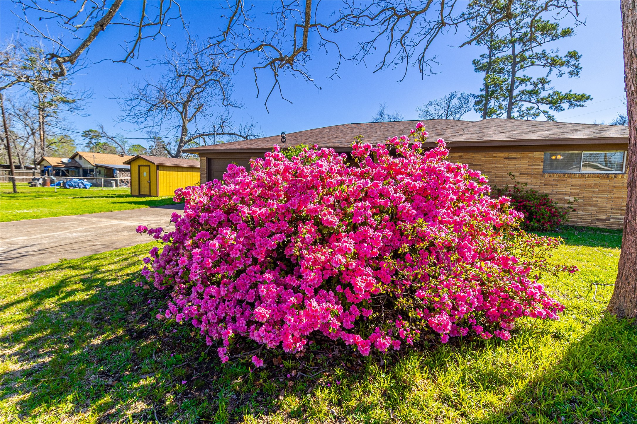 1202 Pecan Street Channelview, TX 77530 - Photo 35 of 35 a picture of flowers