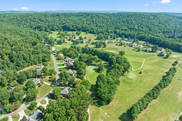 a view of a garden with a lake