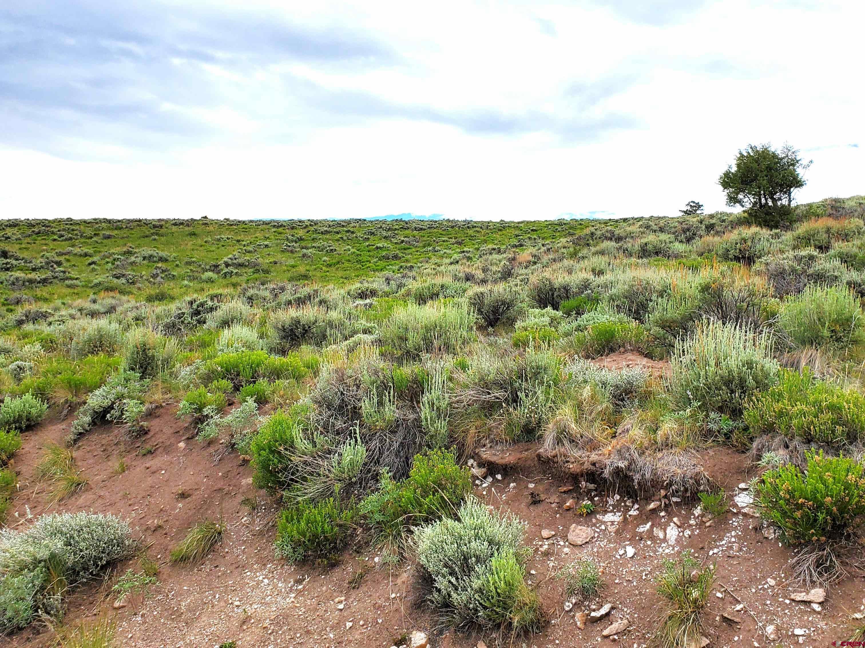 231 Schofield Trail Powderhorn, CO 81243 - Photo 2 of 3