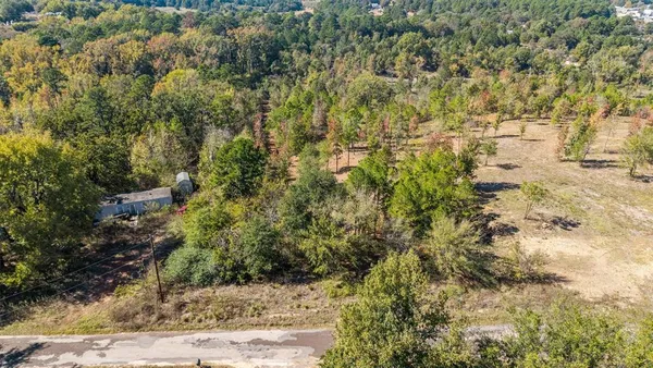a view of a yard with plants and trees