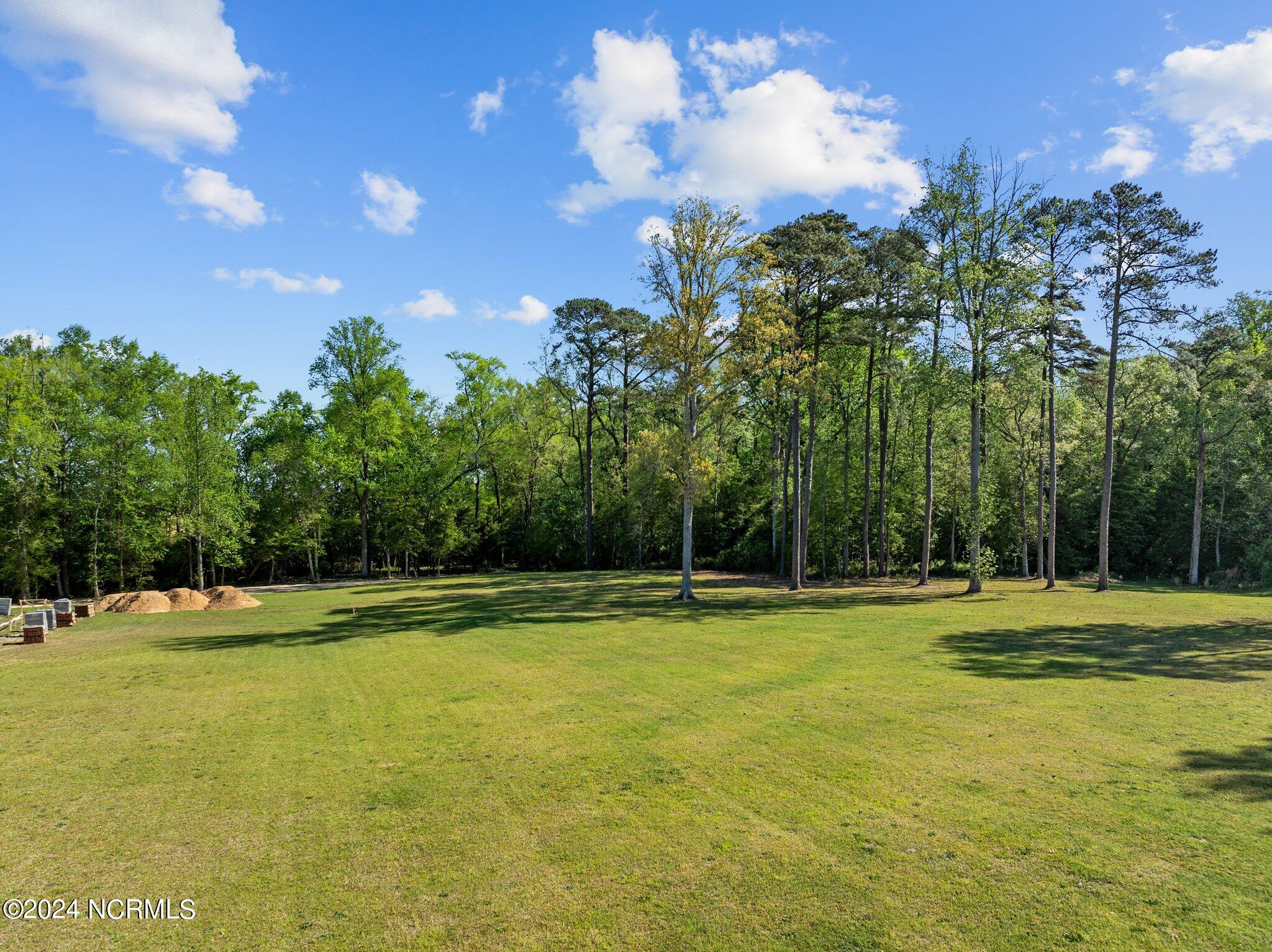 302 Golf Course Drive Pinetops, NC 27864 - Photo 10 of 34 10-web-or-mls-DJI_0955