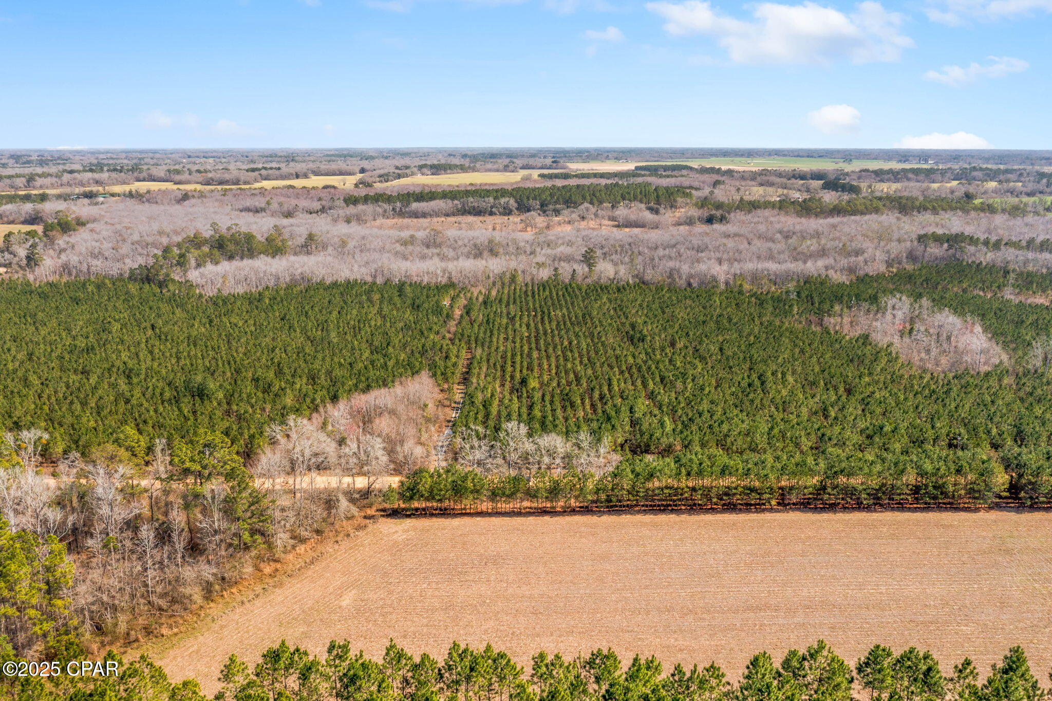 Lot 2 New Prospect Road Chipley, FL 32428 - Photo 10 of 26