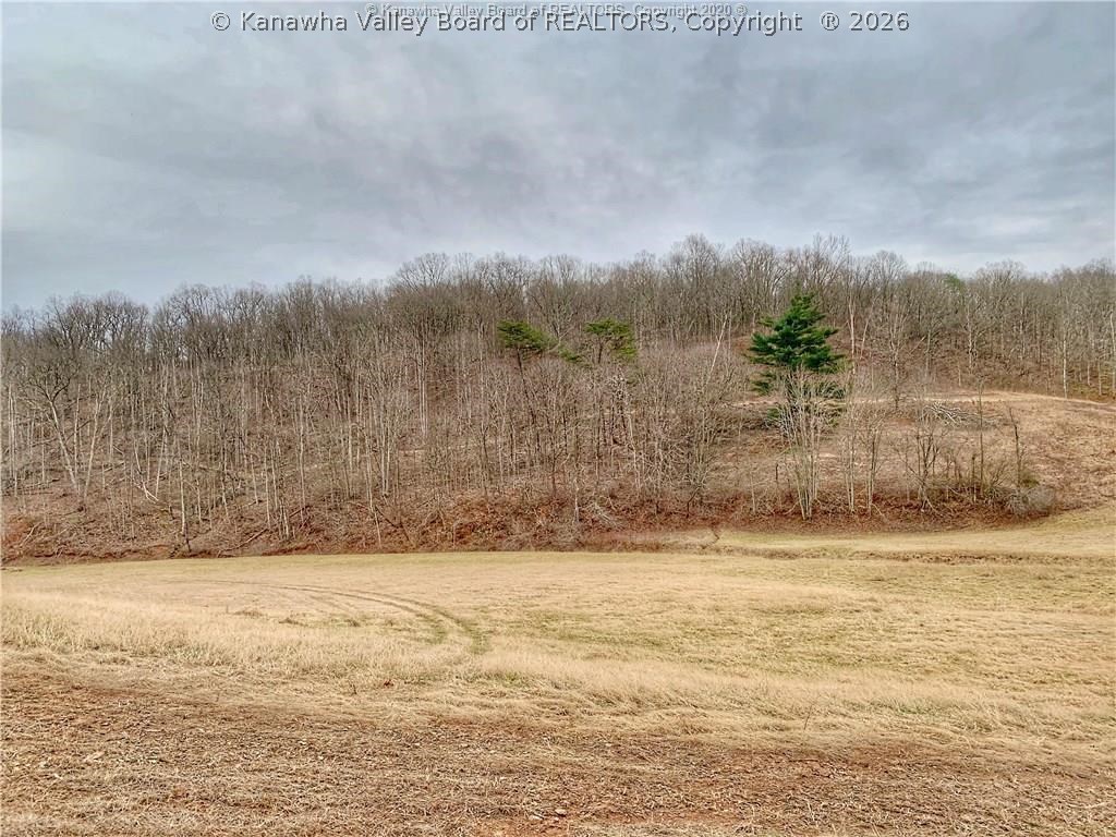 831 Jesses Run Road Ravenswood, WV 26164 - Photo 33 of 38 Gallery Image 33