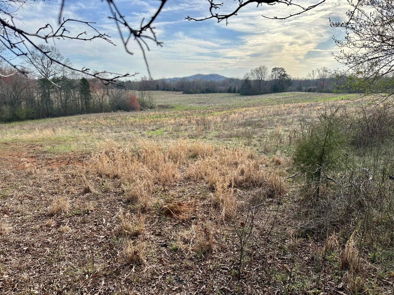 0 Maple Spring Road, Unit 13 ACRE TRACT Dayton, TN 37321 - Photo 2 of 12 13 acre tract maple springs