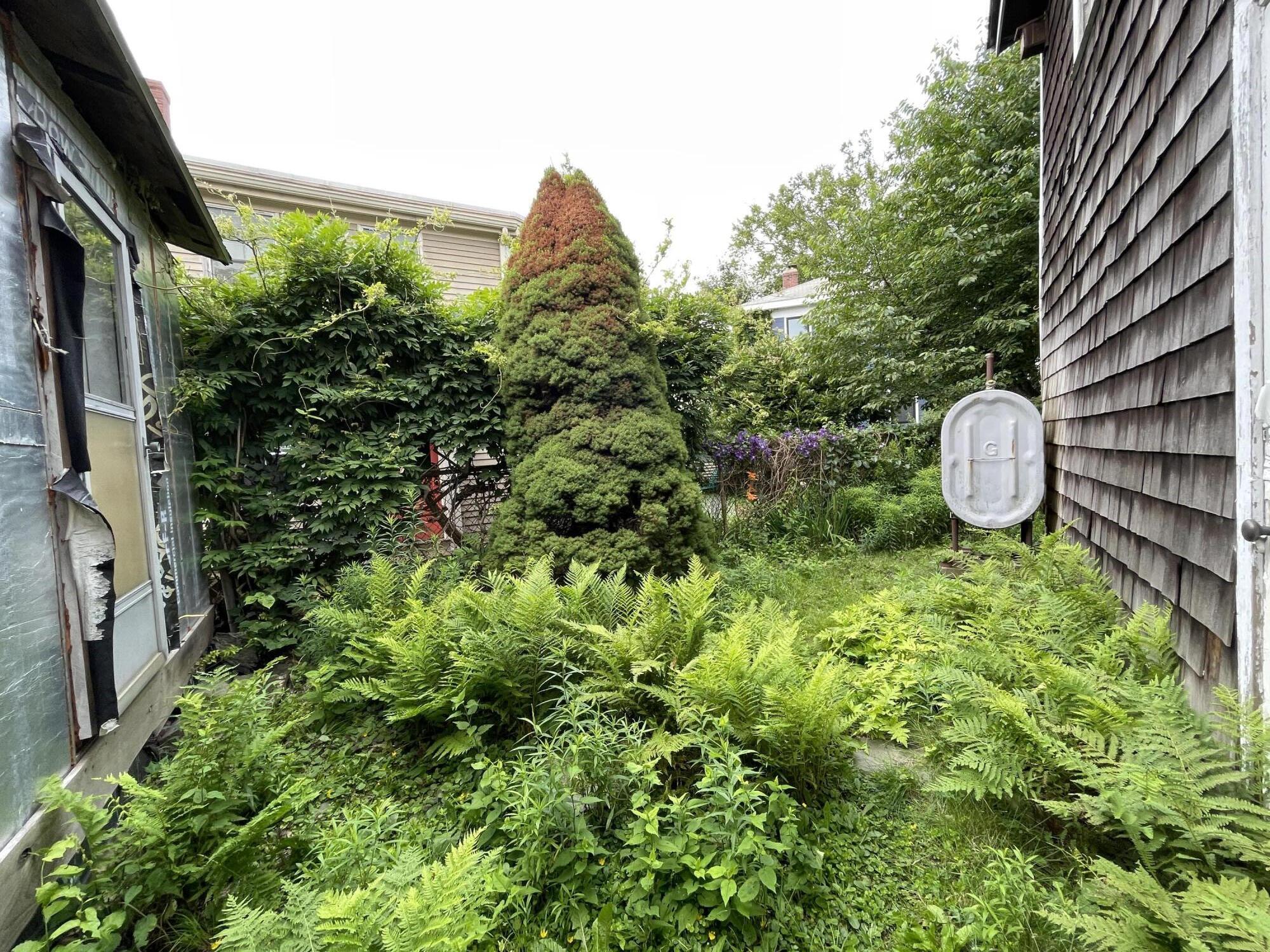 30 Dow Street Portland, ME 04102 - Photo 46 of 52 IMG_5751