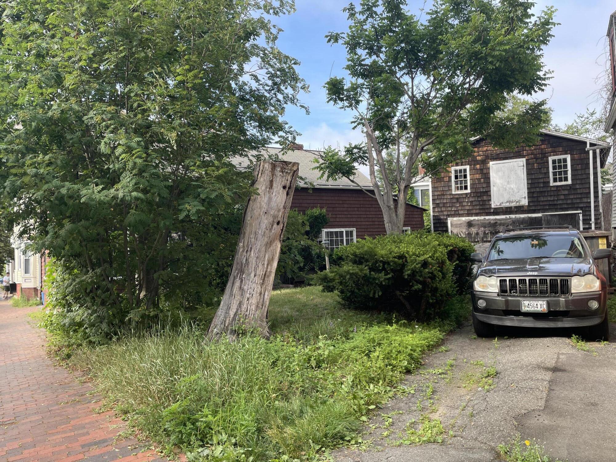 30 Dow Street Portland, ME 04102 - Photo 7 of 52 IMG_5774