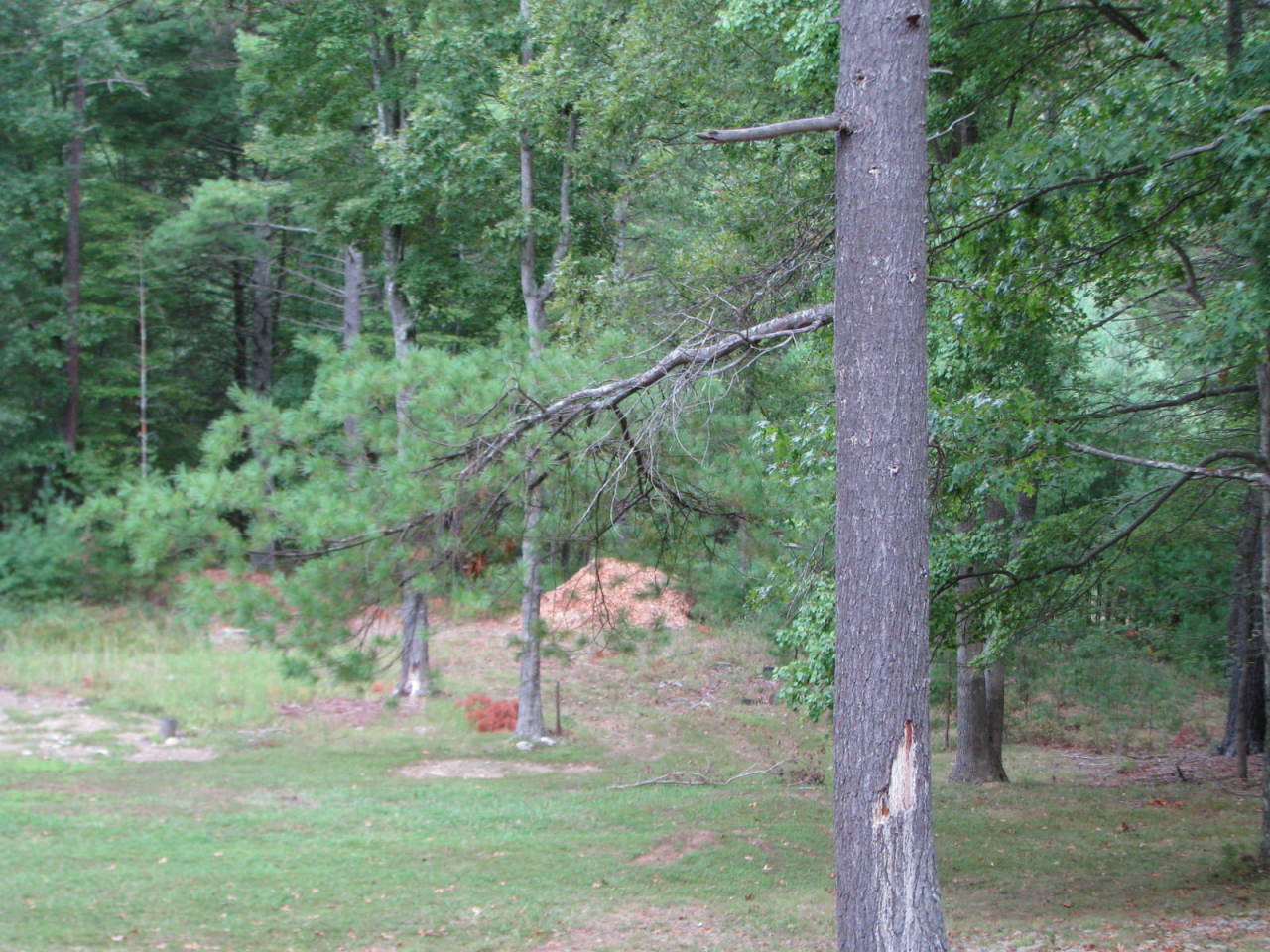 6456 Foxfire Road Blacksburg, VA 24060 - Photo 5 of 16 Front yard