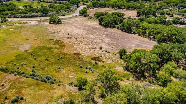 a view of a yard with plants