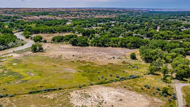 a view of a yard with an ocean