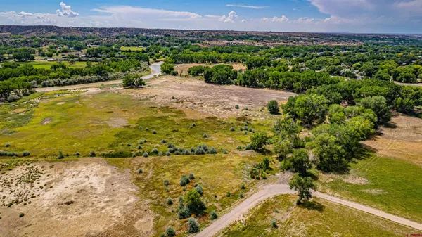 a view of a yard with a lake