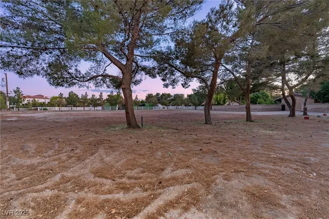 $3,475,000 | 3455 Five Pennies Lane, Las Vegas, NV 89120