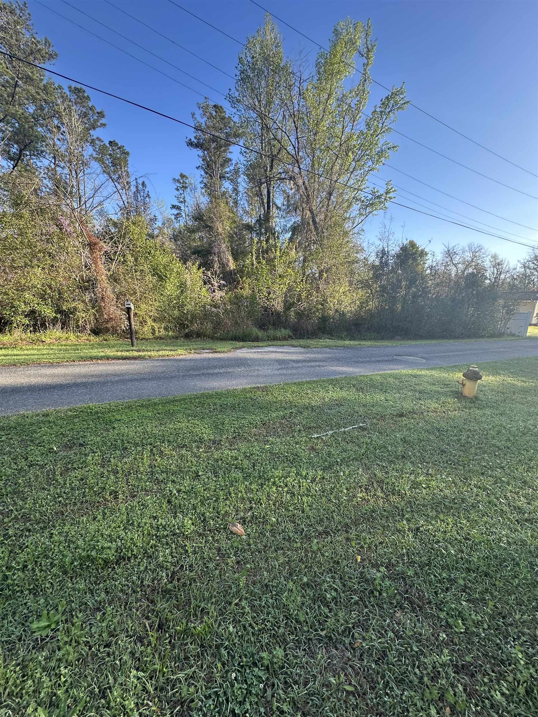 Xx Crayfish Road Chattahoochee, FL 32324 - Photo 5 of 7