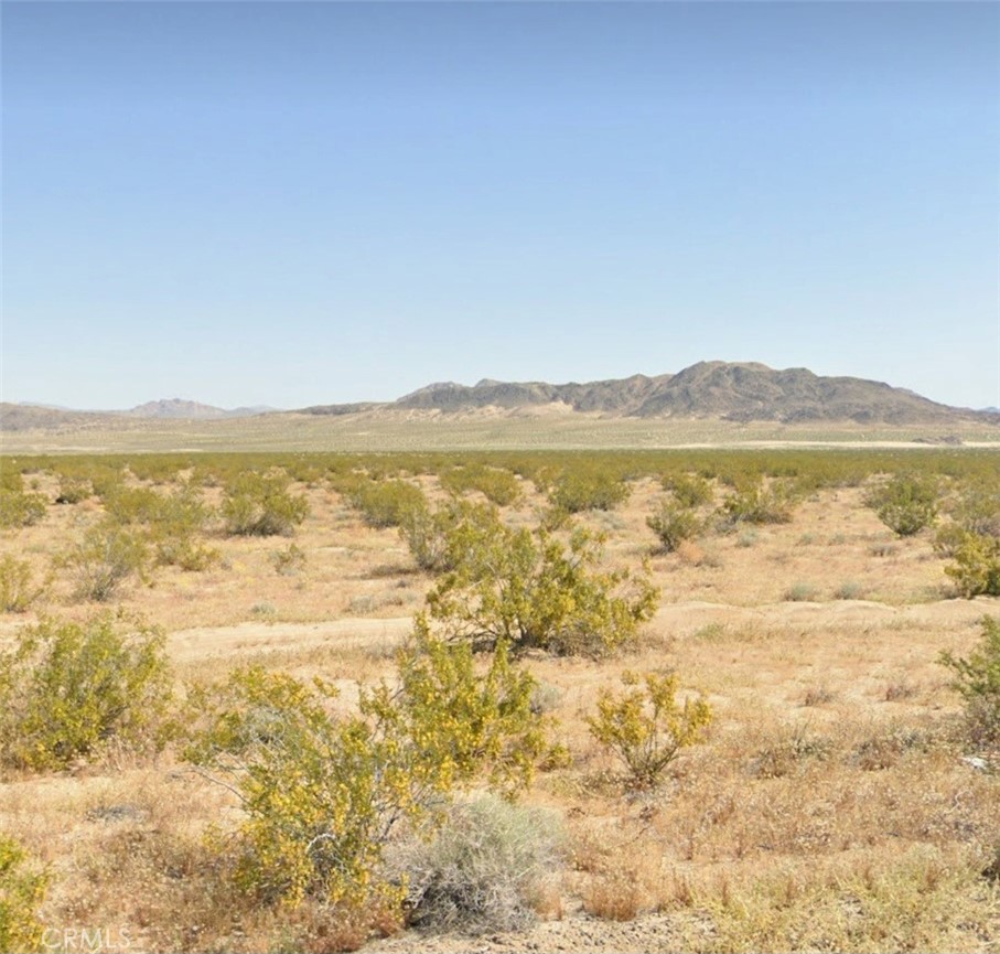800 Firethorn Way Johnson Valley, CA 92285 - Photo 1 of 7