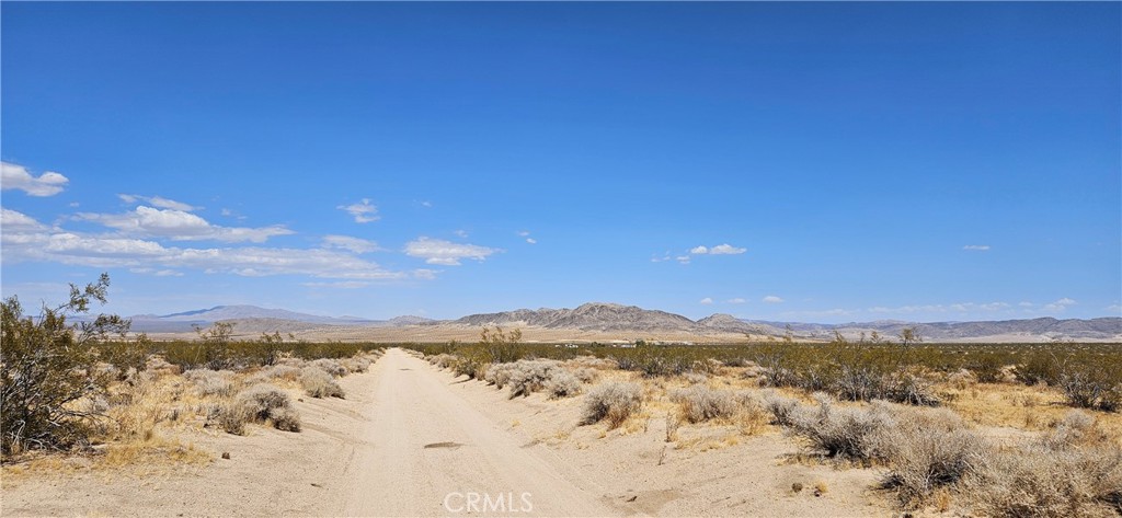 800 Firethorn Way Johnson Valley, CA 92285 - Photo 2 of 7