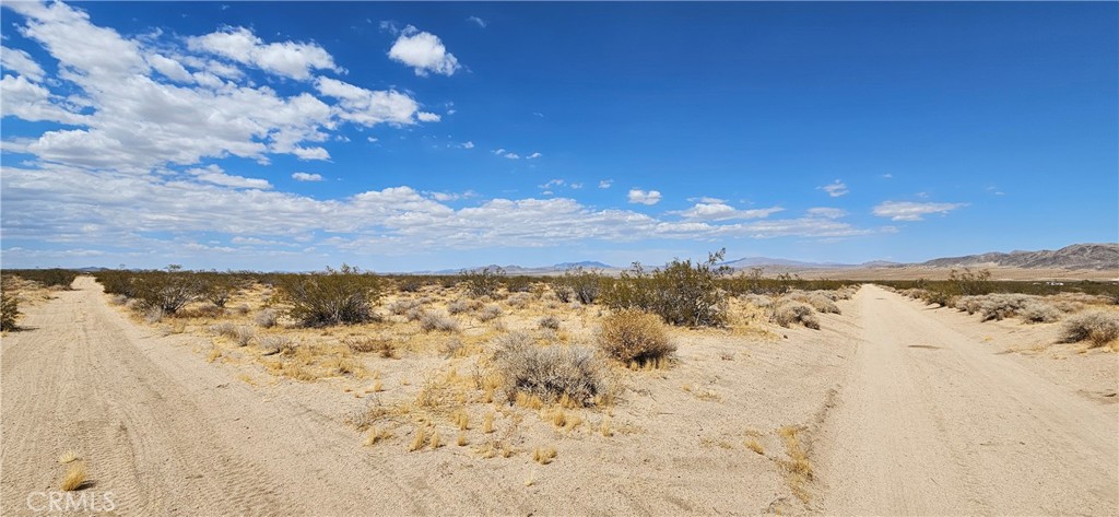 800 Firethorn Way Johnson Valley, CA 92285 - Photo 5 of 7