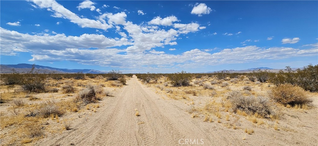 800 Firethorn Way Johnson Valley, CA 92285 - Photo 6 of 7