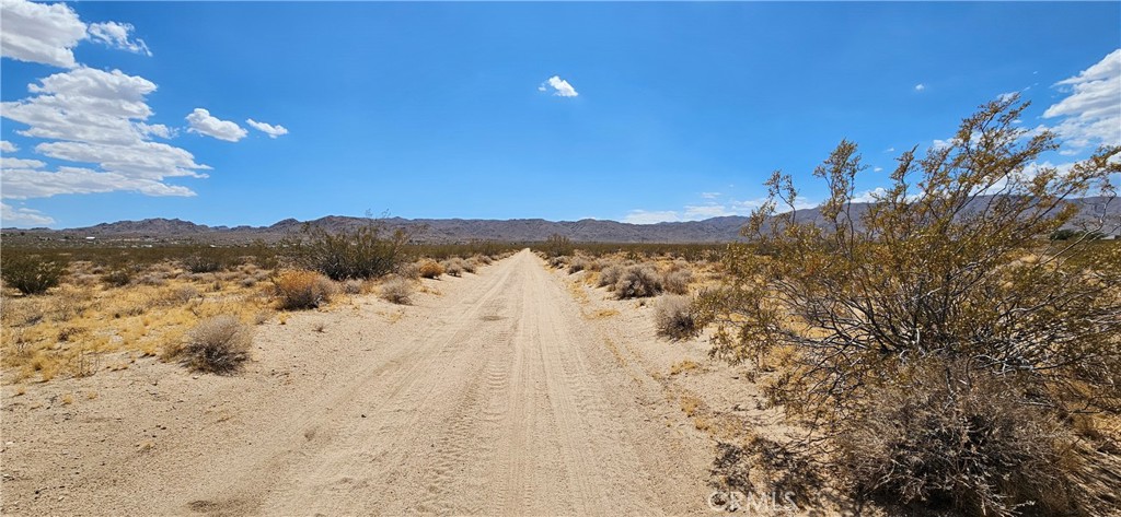 800 Firethorn Way Johnson Valley, CA 92285 - Photo 7 of 7