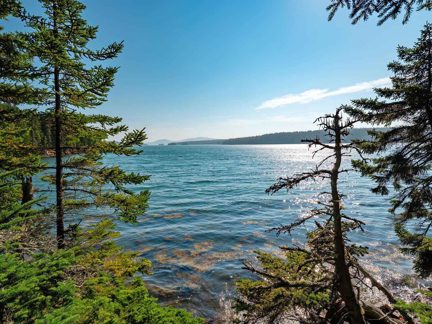 0 Deane Point Road Gouldsboro, ME 04607 - Photo 8 of 26 DPViewfromcliff