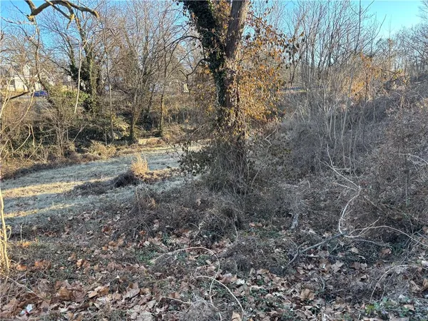 $12,000 | 209 West Hightower Street, El Dorado Springs, MO 64744