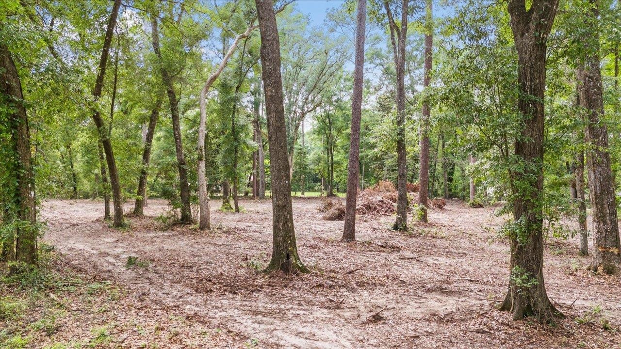 0 Gould Road Quincy, FL 32351 - Photo 10 of 25 Gallery Image 10