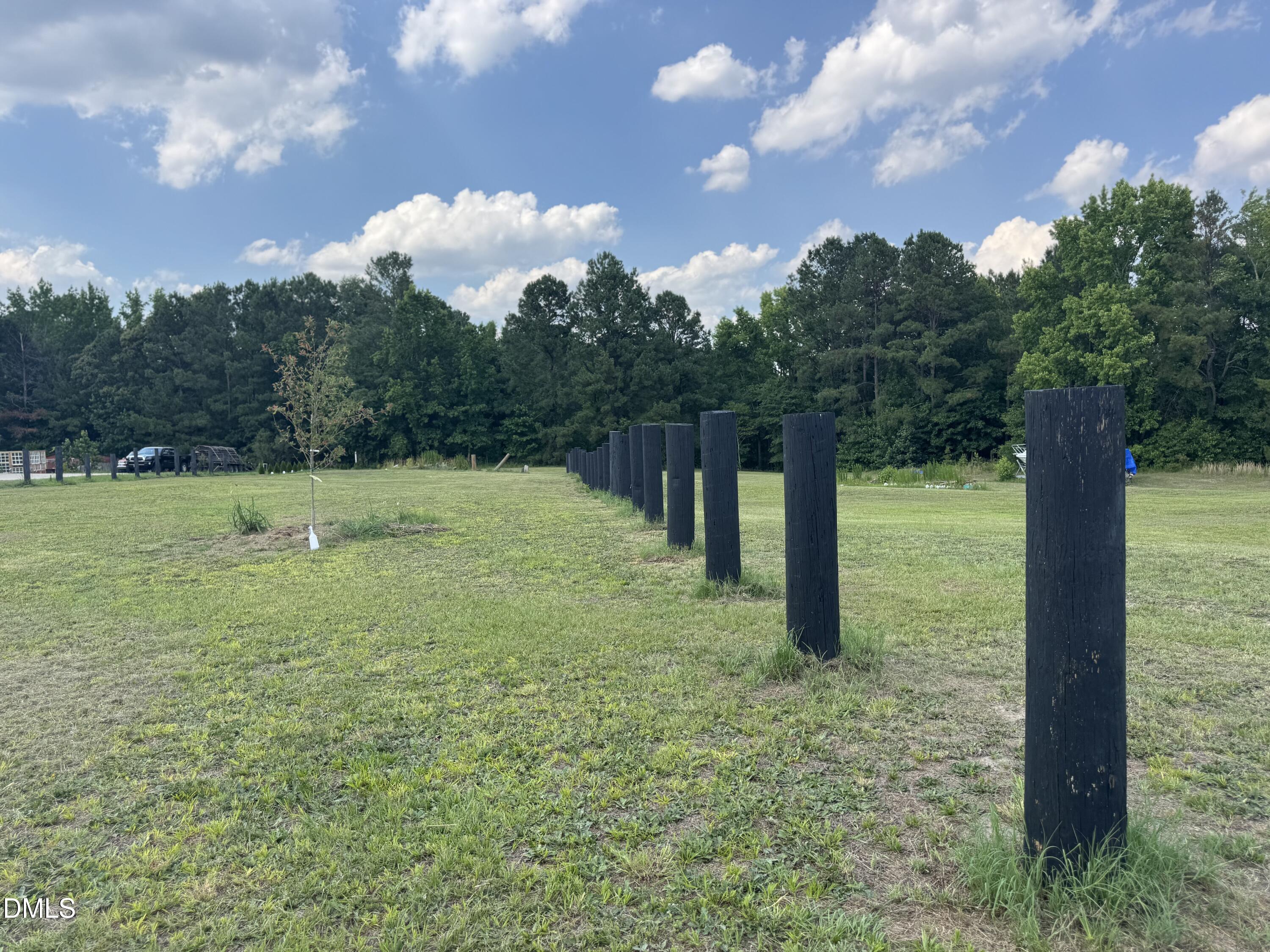 586 Shadetree Road Benson, NC 27504 - Photo 2 of 12 a backyard of a house with lots of green space