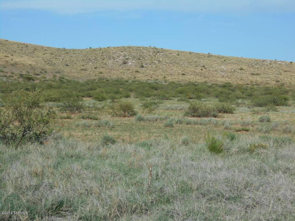 40 Acres On White Feather Road Douglas, AZ 85607 - Photo 6 of 6 Gallery Image 6