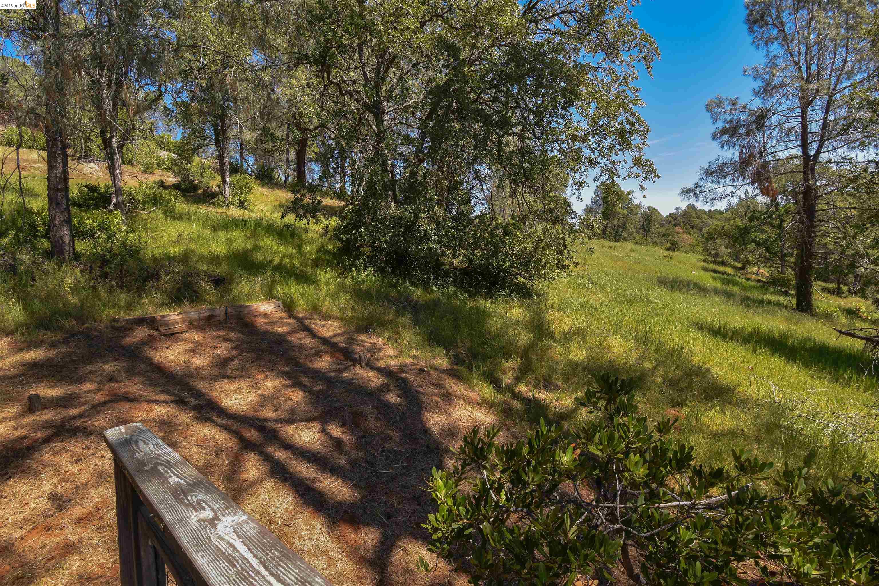 17270 Robin Ridge Road Sonora, CA 95370 - Photo 23 of 60 View of yard