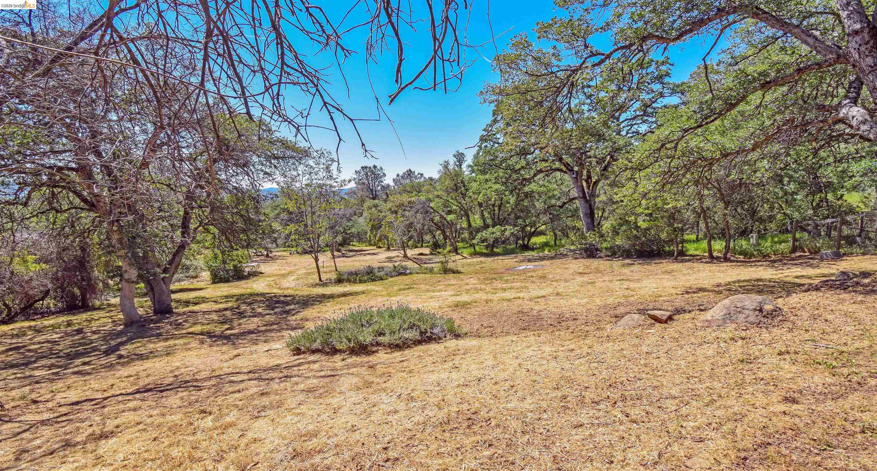 17270 Robin Ridge Road Sonora, CA 95370 - Photo 28 of 60 View of grassy yard