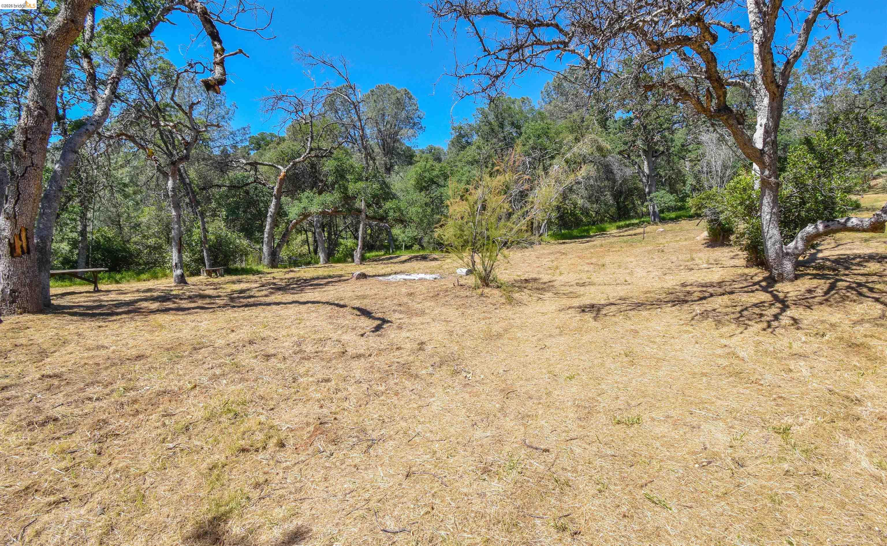 17270 Robin Ridge Road Sonora, CA 95370 - Photo 29 of 60 View of yard