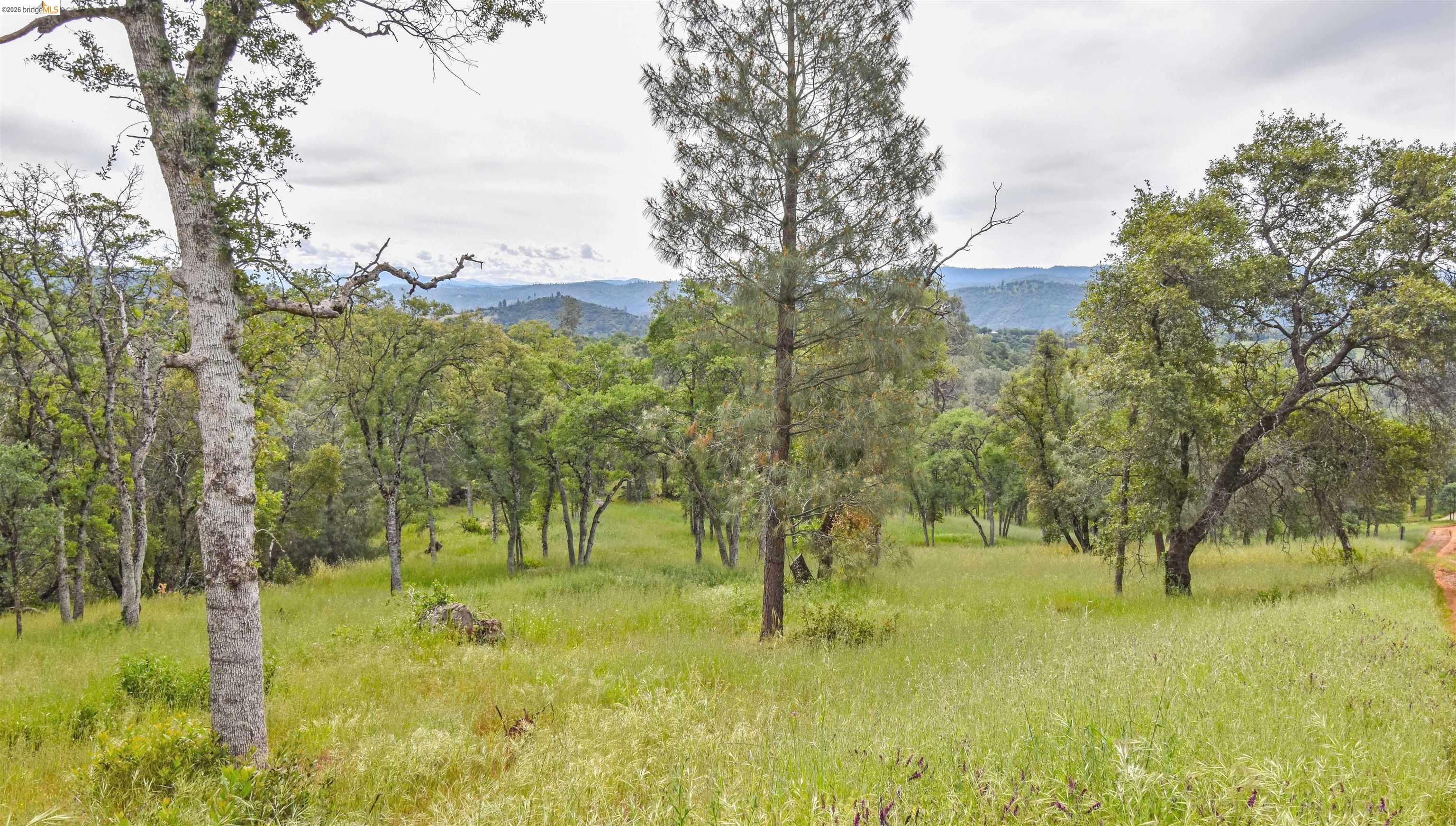 17270 Robin Ridge Road Sonora, CA 95370 - Photo 50 of 60 Mountain view