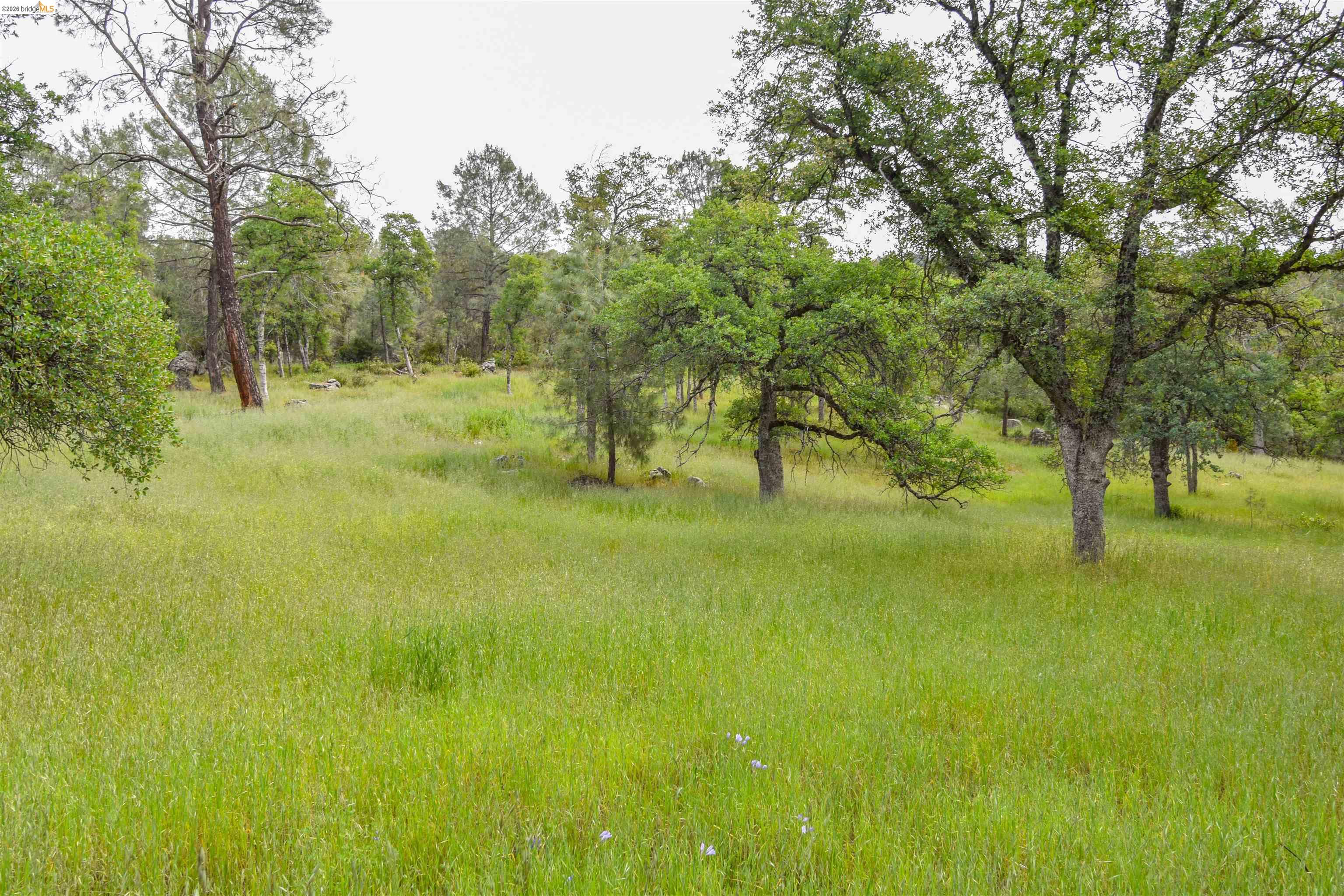 17270 Robin Ridge Road Sonora, CA 95370 - Photo 51 of 60 View of nature