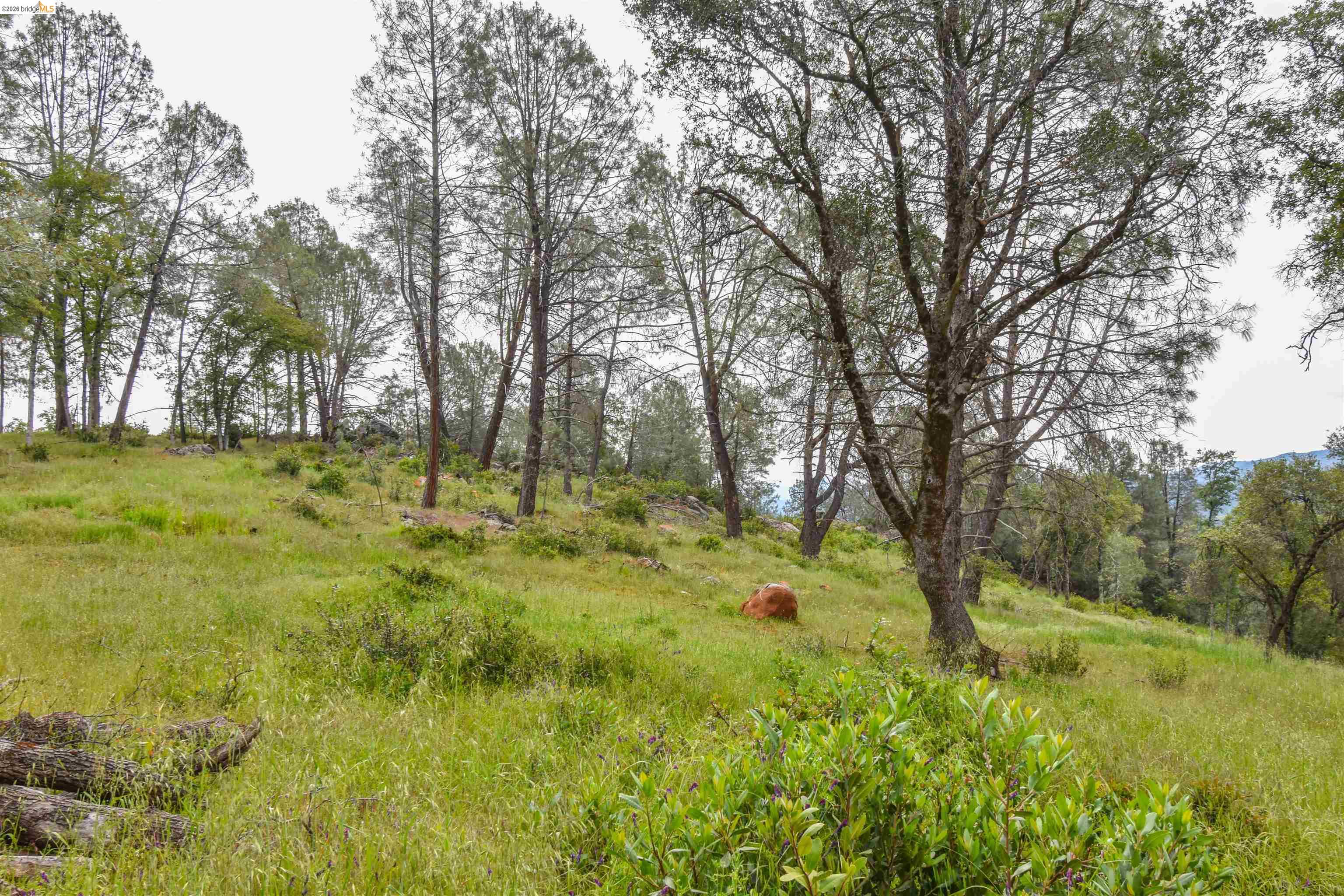 17270 Robin Ridge Road Sonora, CA 95370 - Photo 52 of 60 View of undeveloped land