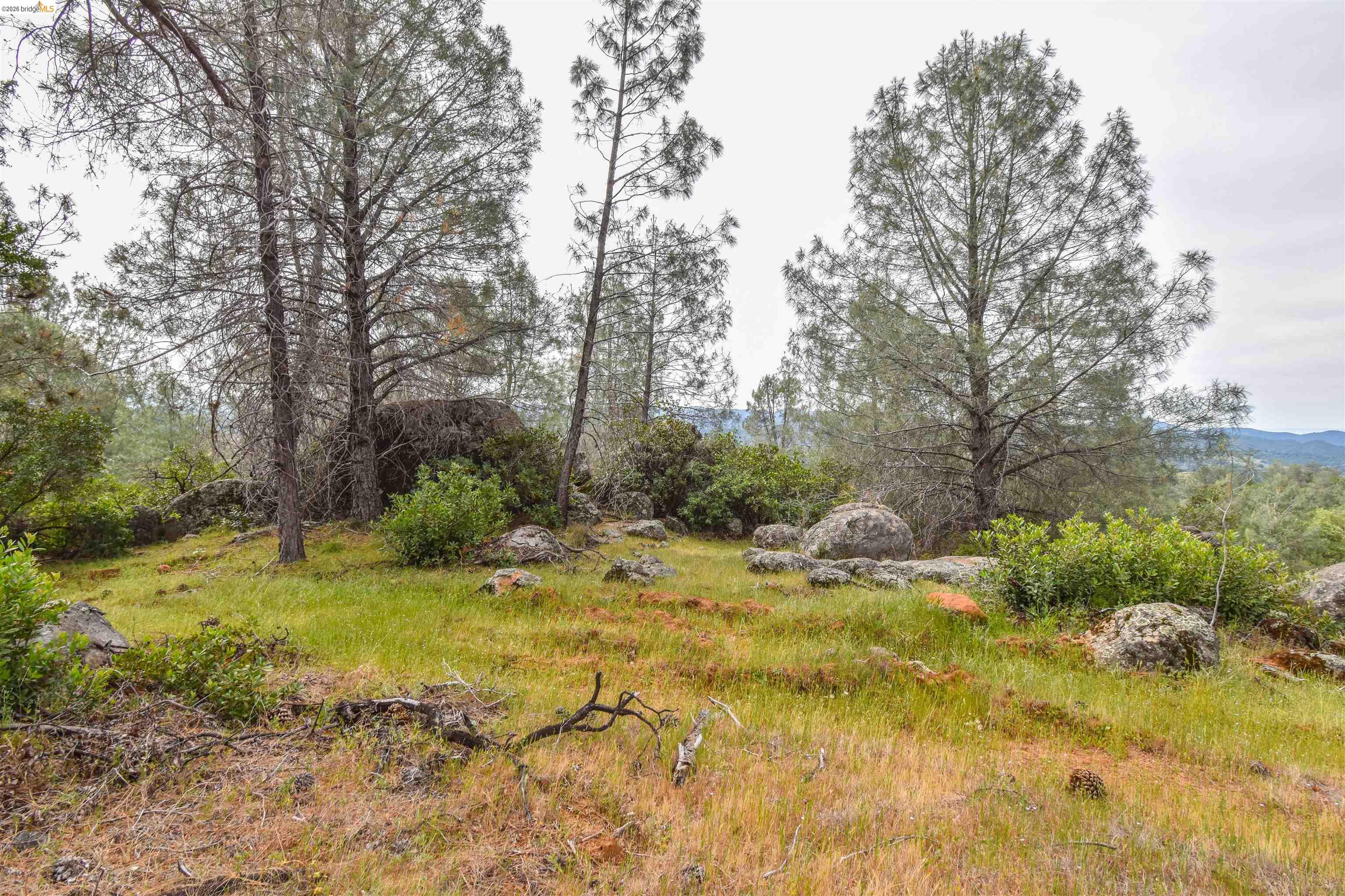 17270 Robin Ridge Road Sonora, CA 95370 - Photo 53 of 60 View of yard