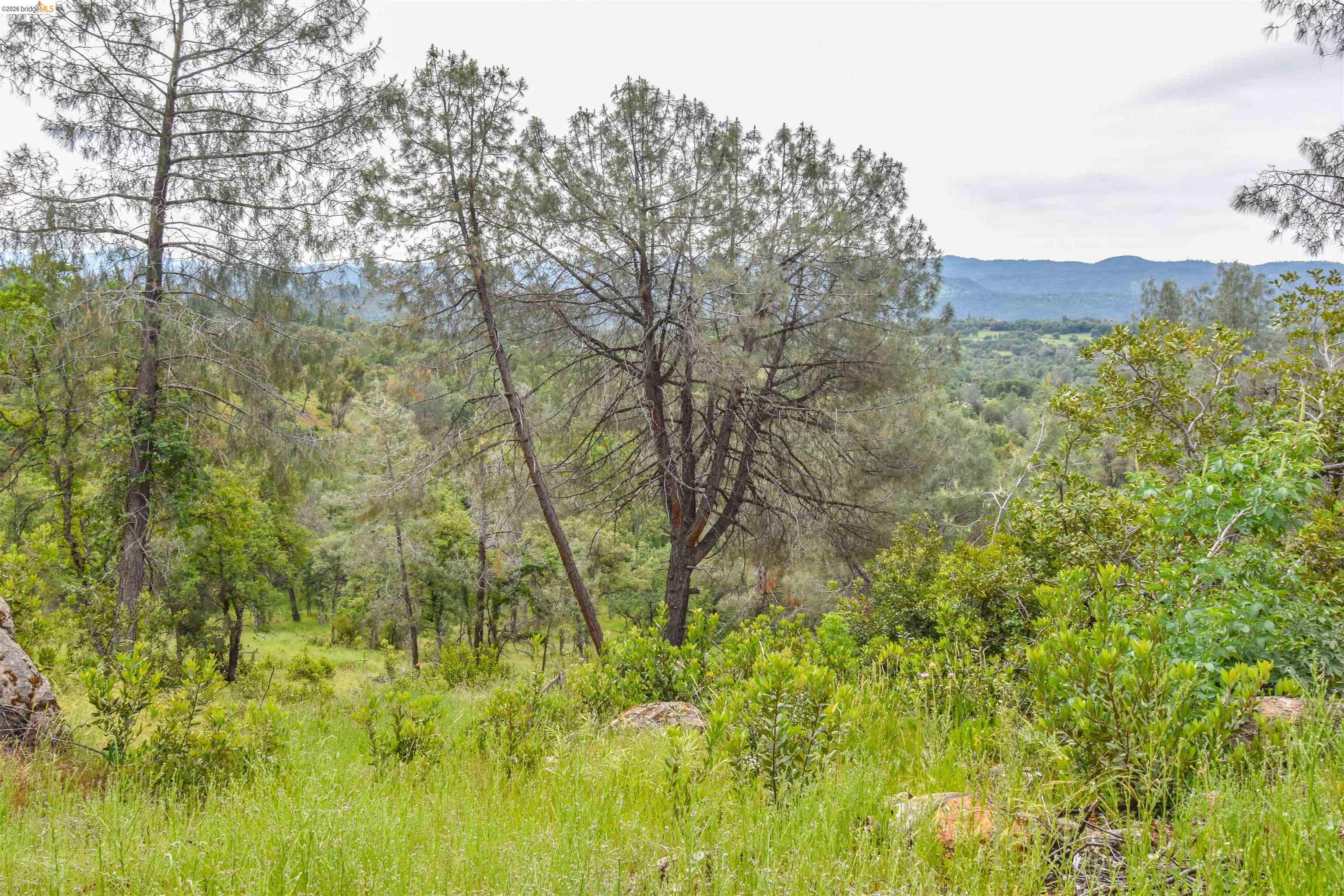 17270 Robin Ridge Road Sonora, CA 95370 - Photo 55 of 60 Mountain view with a heavily wooded area