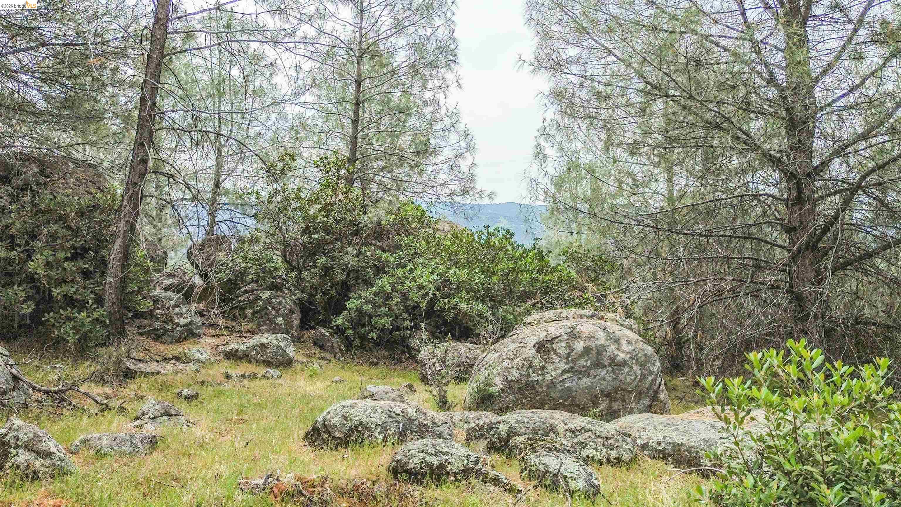 17270 Robin Ridge Road Sonora, CA 95370 - Photo 56 of 60 View of nature