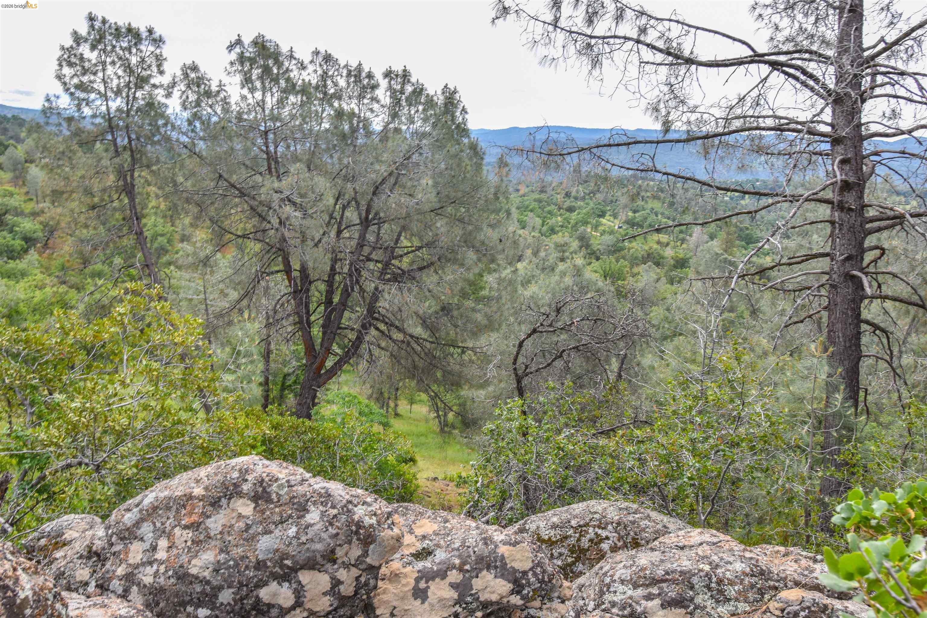 17270 Robin Ridge Road Sonora, CA 95370 - Photo 57 of 60 View of mountain background featuring a forest
