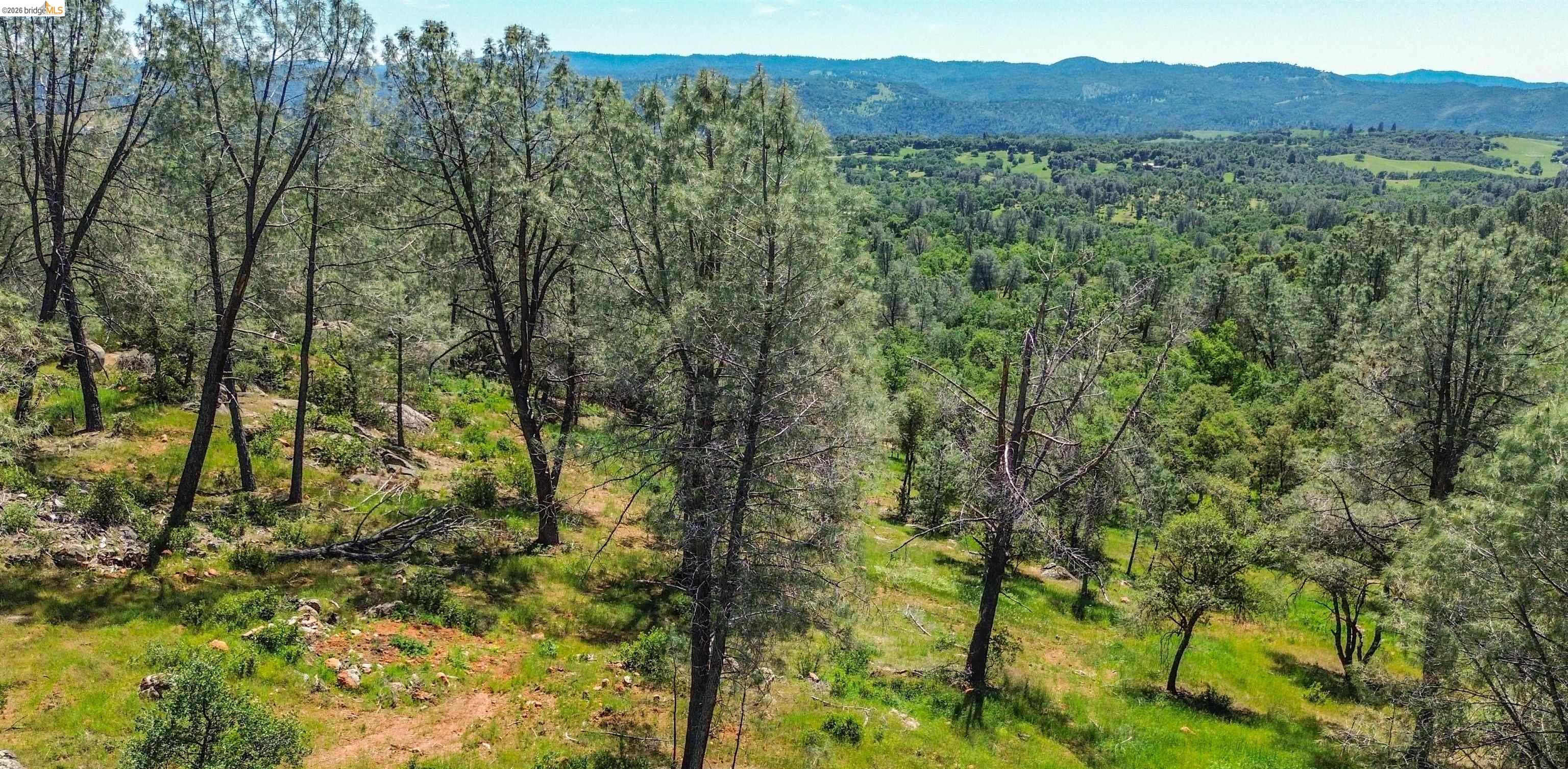 17270 Robin Ridge Road Sonora, CA 95370 - Photo 60 of 60 View of tree filled area featuring a mountain view