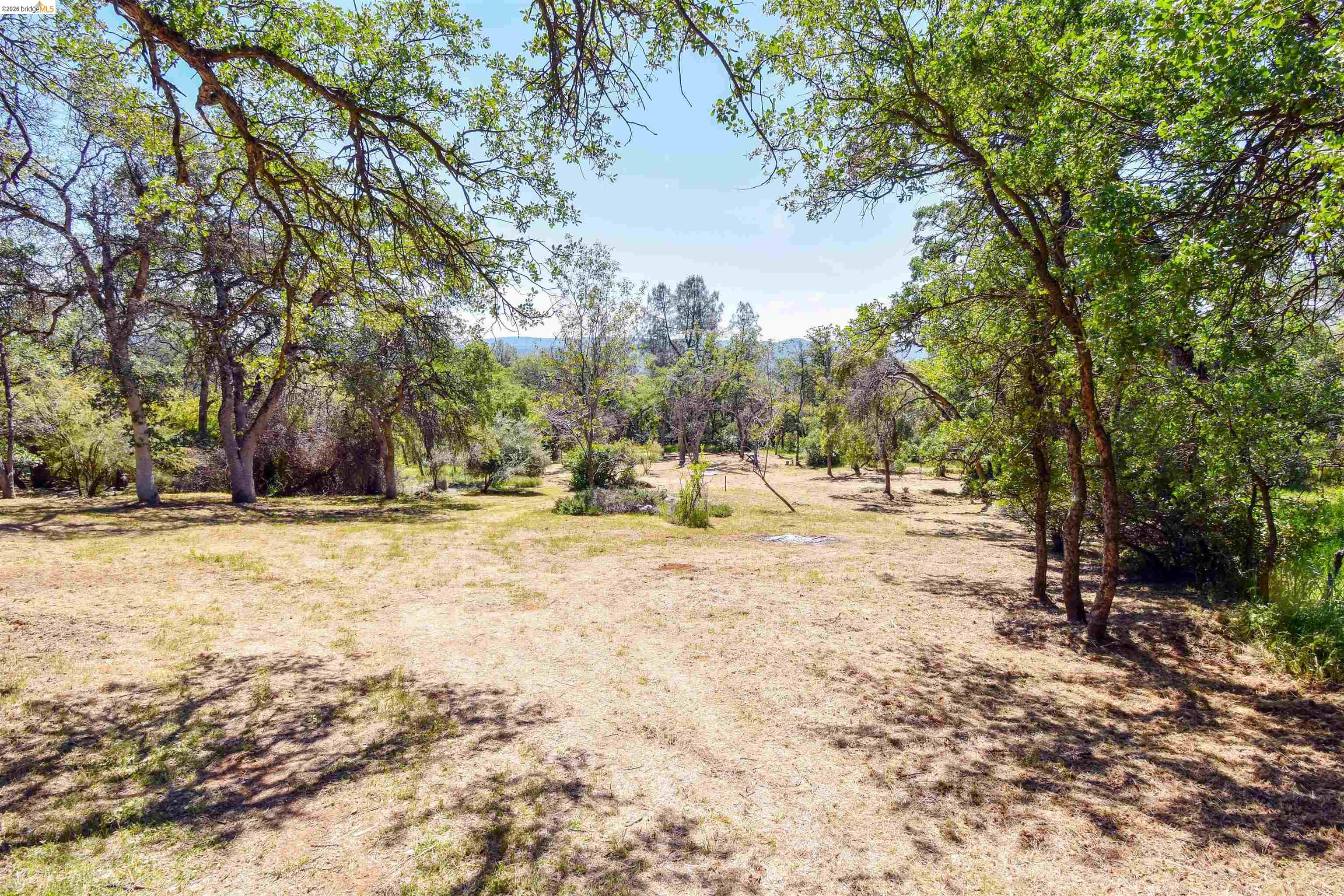 17270 Robin Ridge Road Sonora, CA 95370 - Photo 8 of 60 View of yard