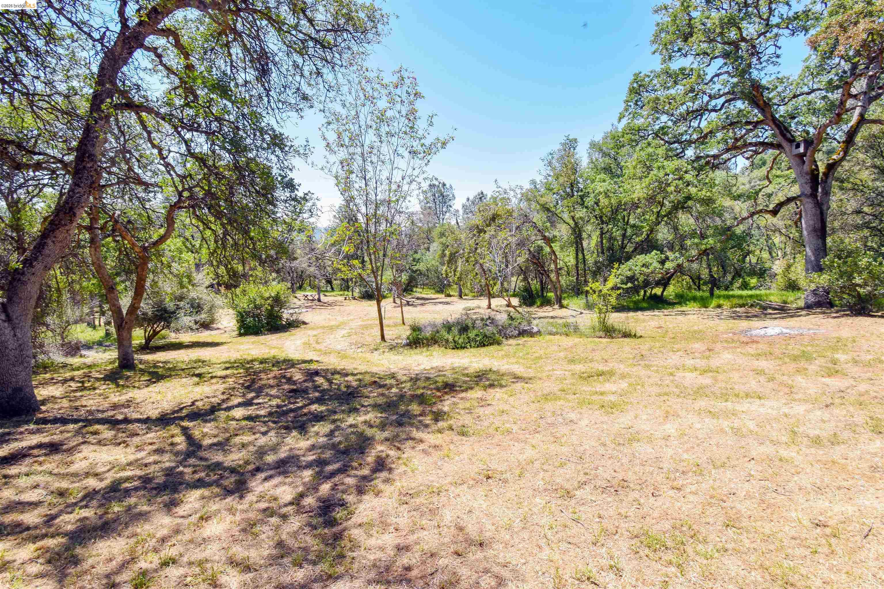 17270 Robin Ridge Road Sonora, CA 95370 - Photo 9 of 60 View of grassy yard