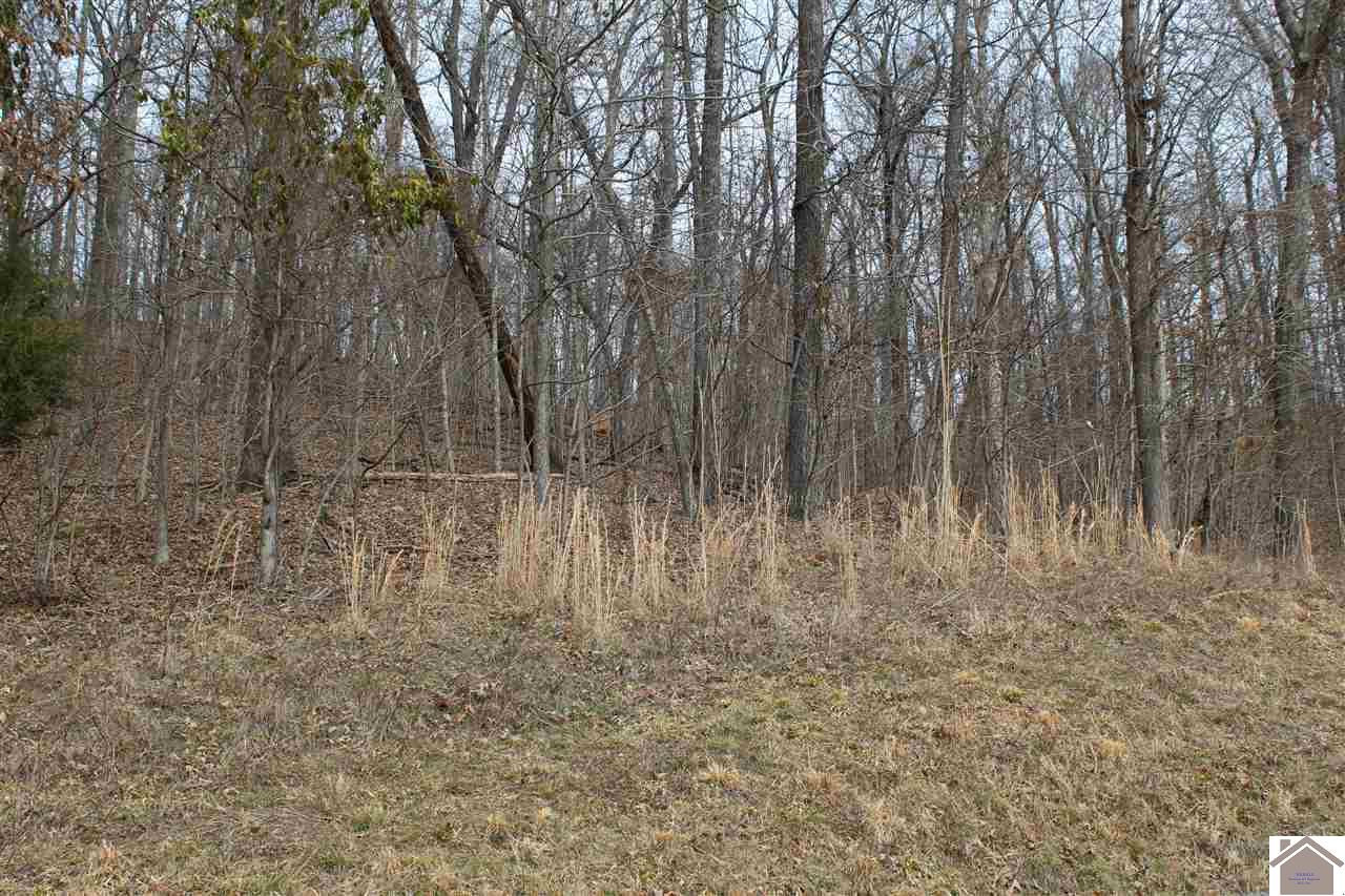 Lot 34 Roy Harris Road, Unit 34 Kuttawa, KY 42055 - Photo 1 of 1 Photo 1