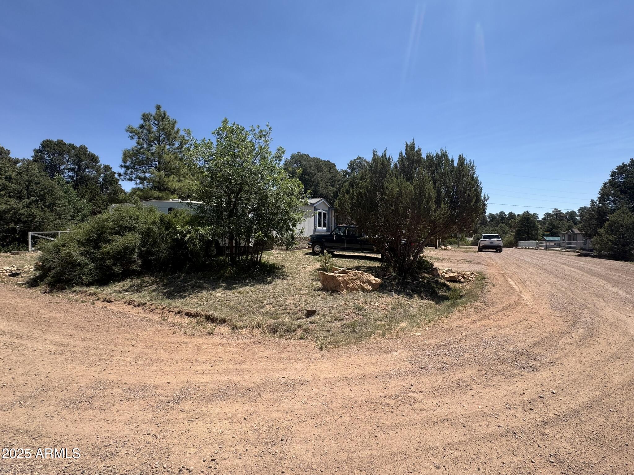 1998 Stagg Run Overgaard, AZ 85933 - Photo 11 of 61 a view of outdoor space with trees