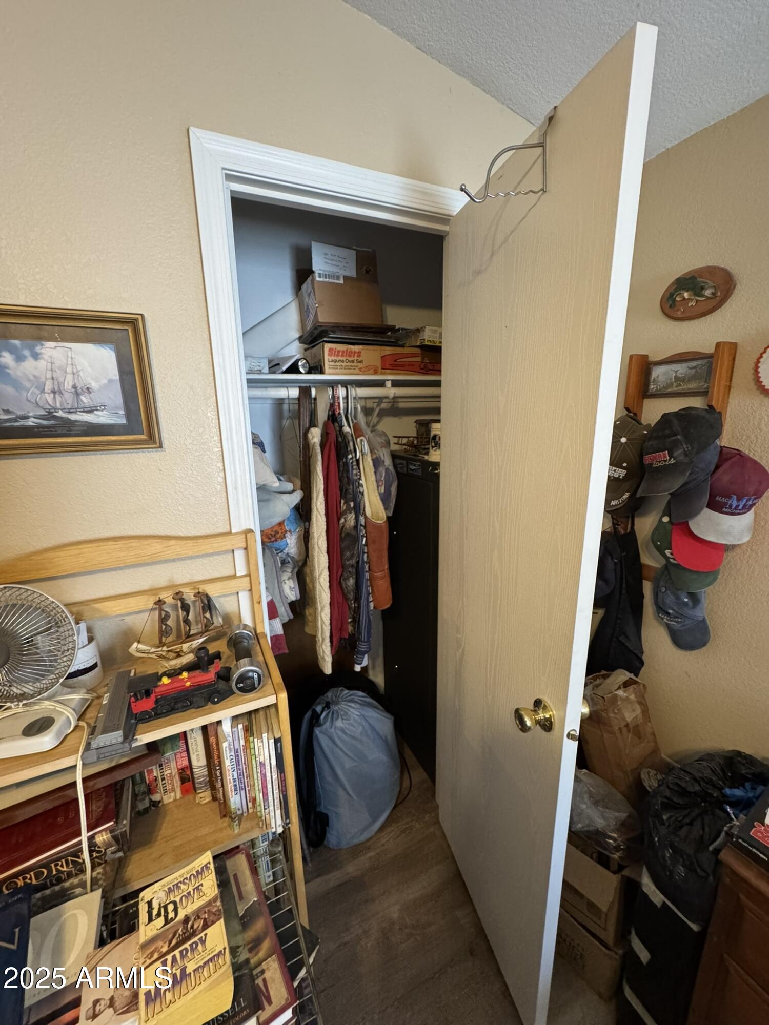 1998 Stagg Run Overgaard, AZ 85933 - Photo 38 of 61 a view of walk in closet with clothes and shoes