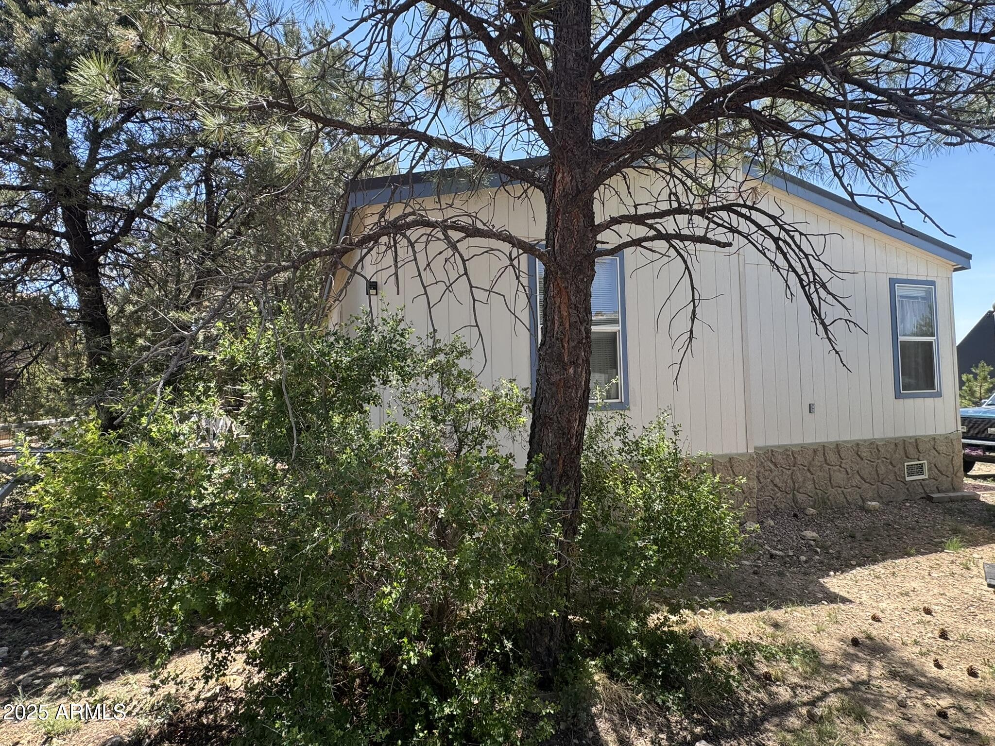 1998 Stagg Run Overgaard, AZ 85933 - Photo 7 of 61 a view of a backyard of the house