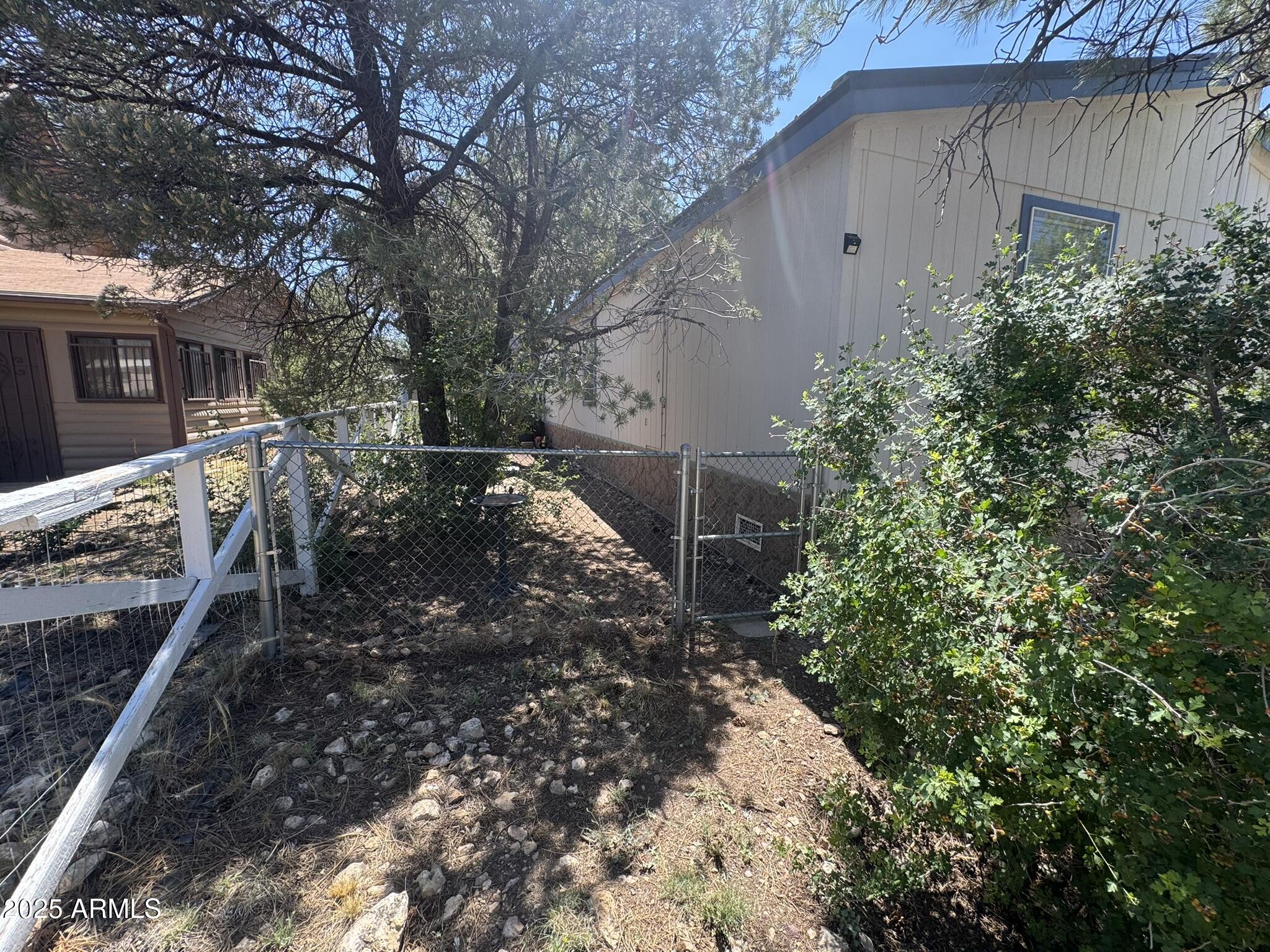 1998 Stagg Run Overgaard, AZ 85933 - Photo 10 of 61 a backyard of a house with lots of green space
