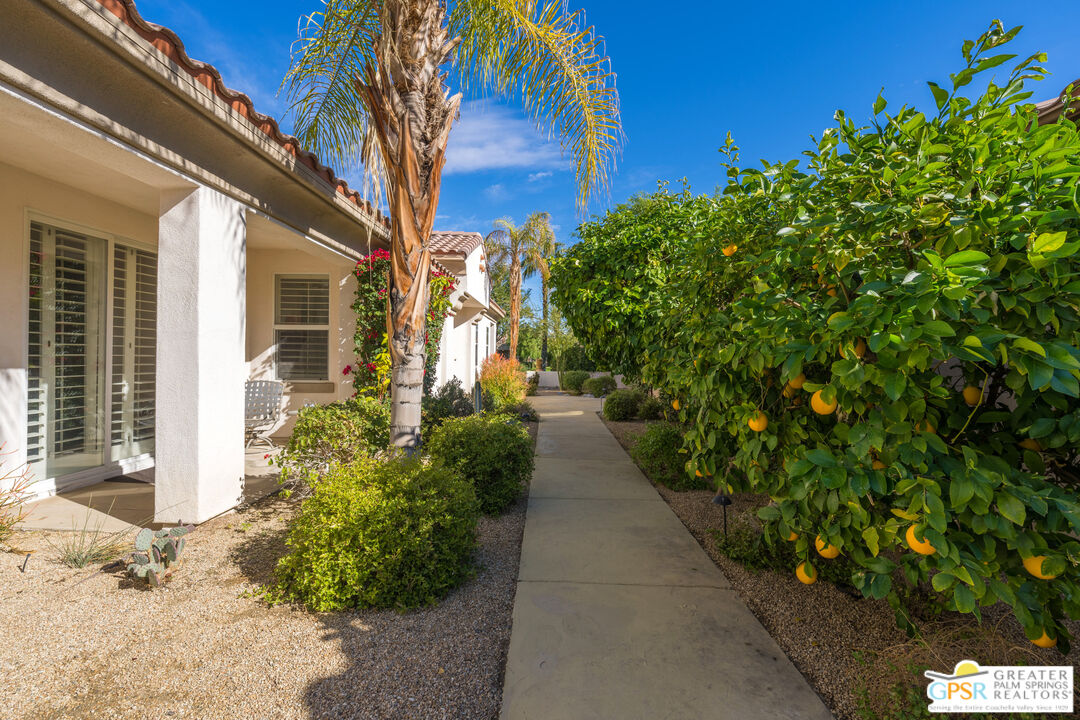 25 Racquet Club Drive South Rancho Mirage, CA 92270 - Photo 12 of 43 Gallery Image 12