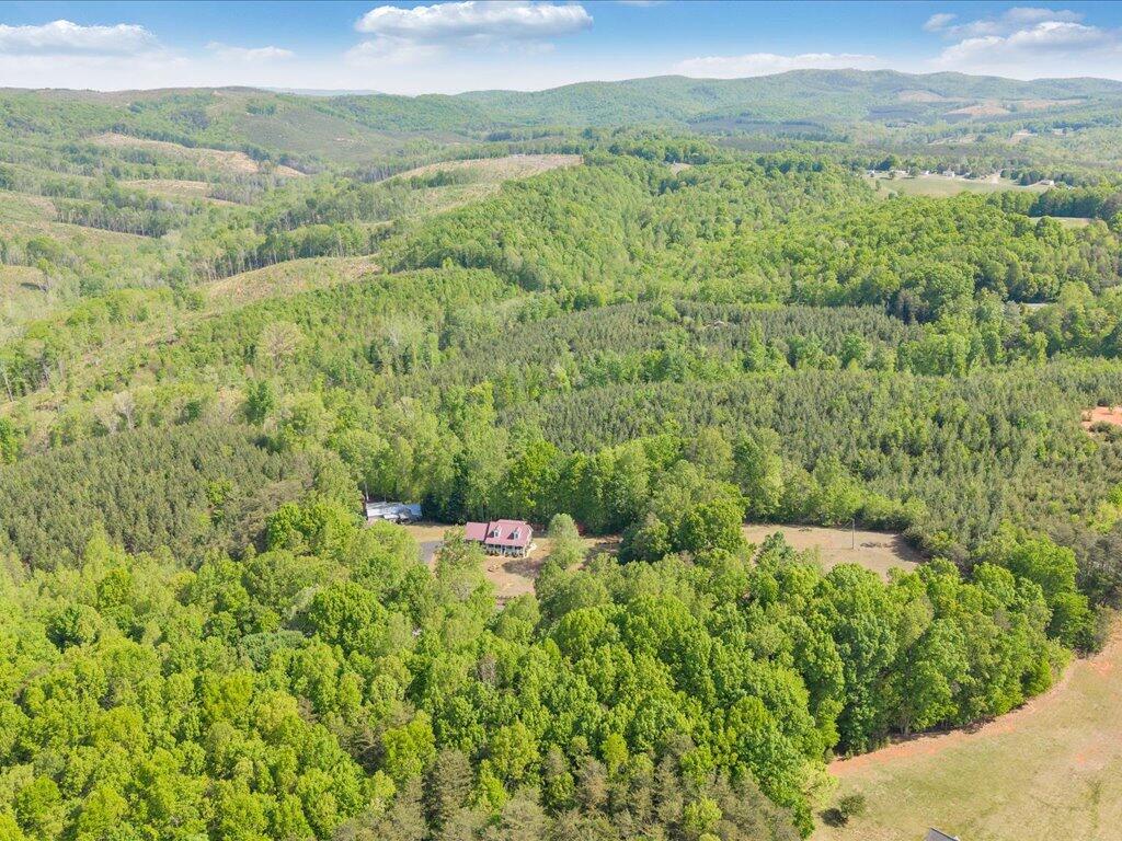 3475 Blue Knob Road Martinsville, VA 24112 - Photo 77 of 80 a view of a green field with lots of bushes