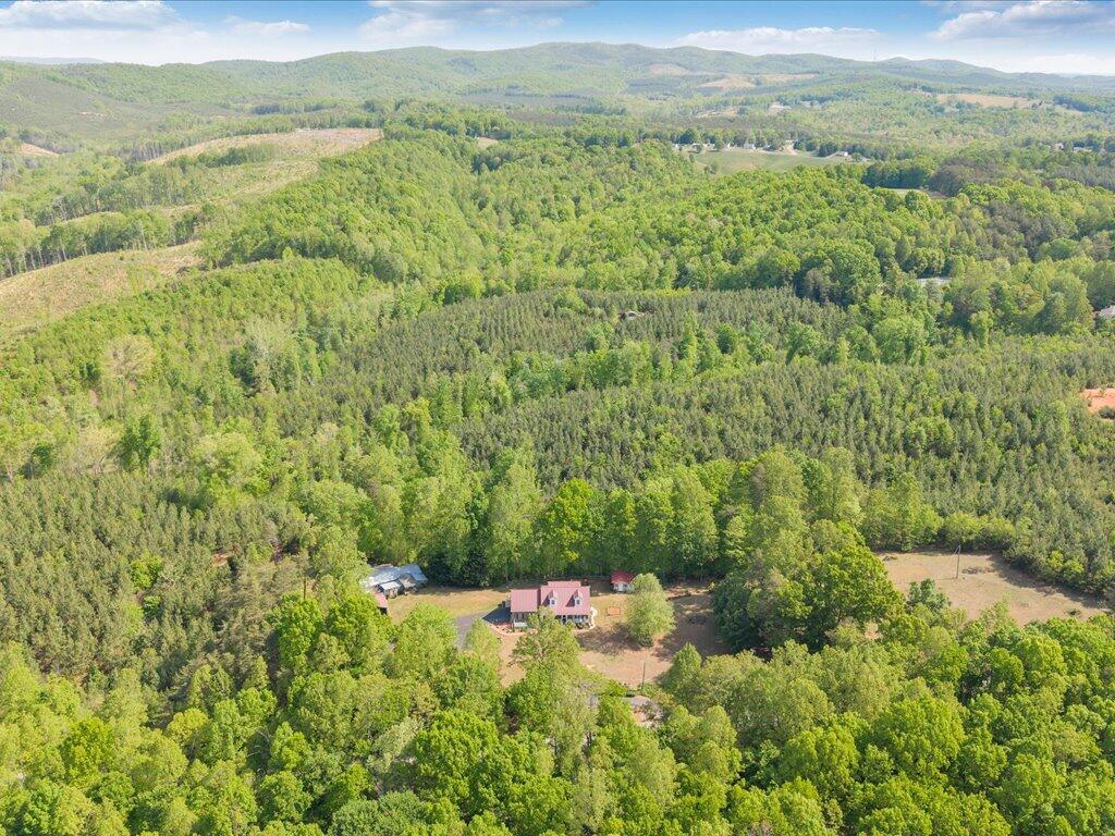 3475 Blue Knob Road Martinsville, VA 24112 - Photo 80 of 80 a view of a lush green forest with a mountain