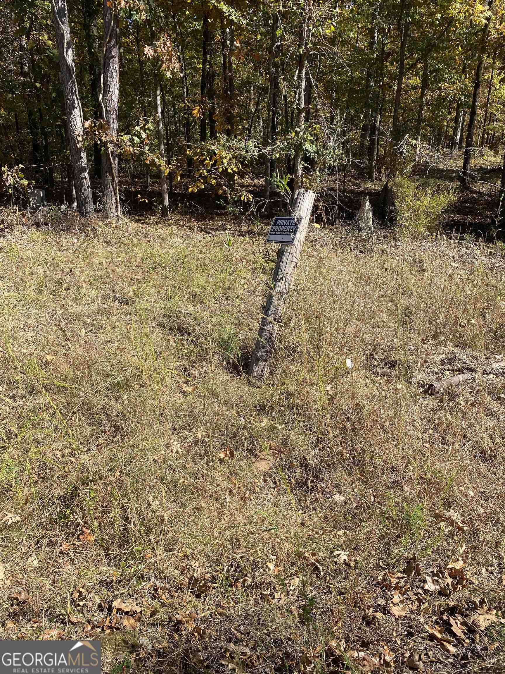 0 Kellett Road Rome, GA 30165 - Photo 1 of 1