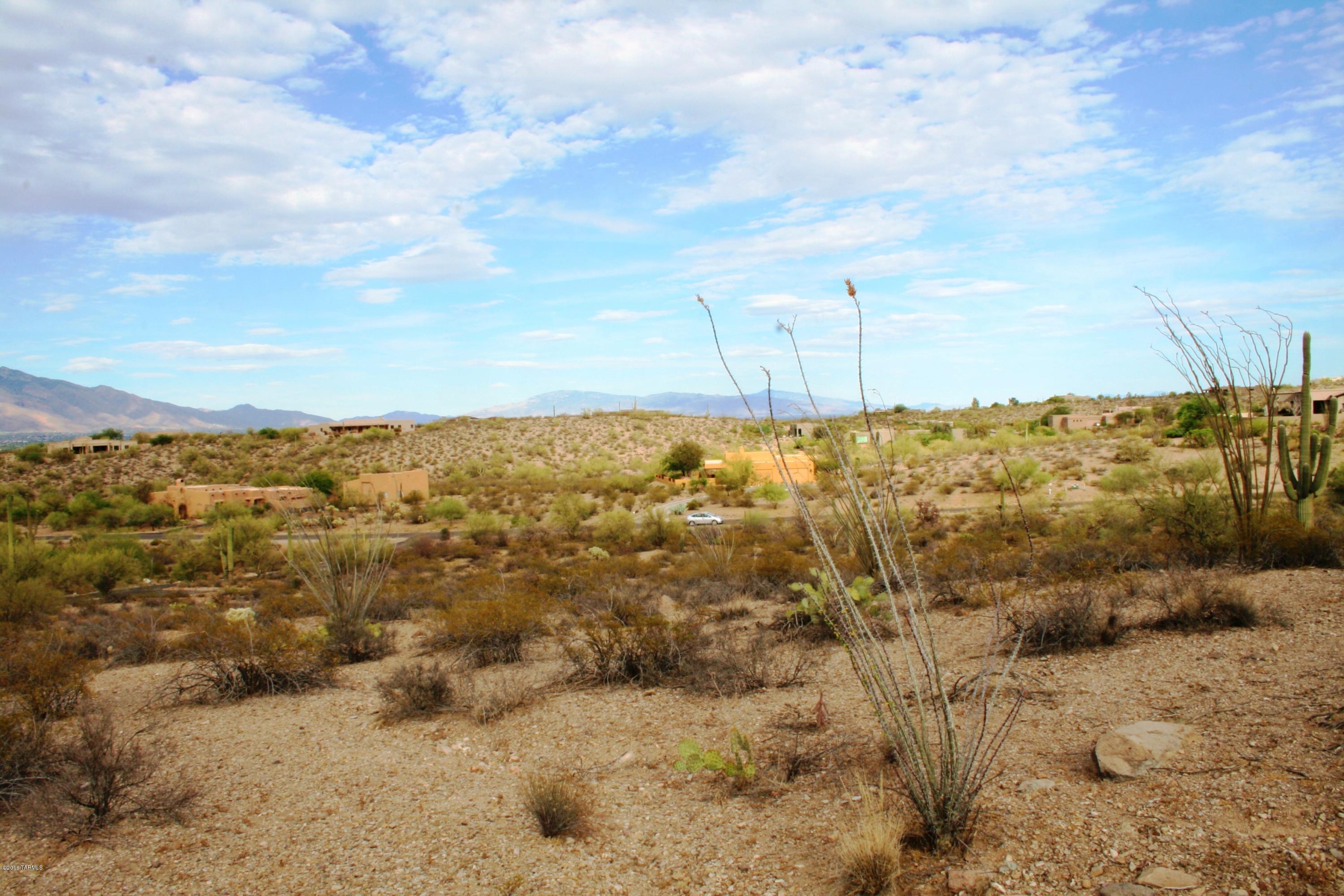 6075 North Abington Road, Unit LOT 4 Tucson, AZ 85743 - Photo 21 of 31
